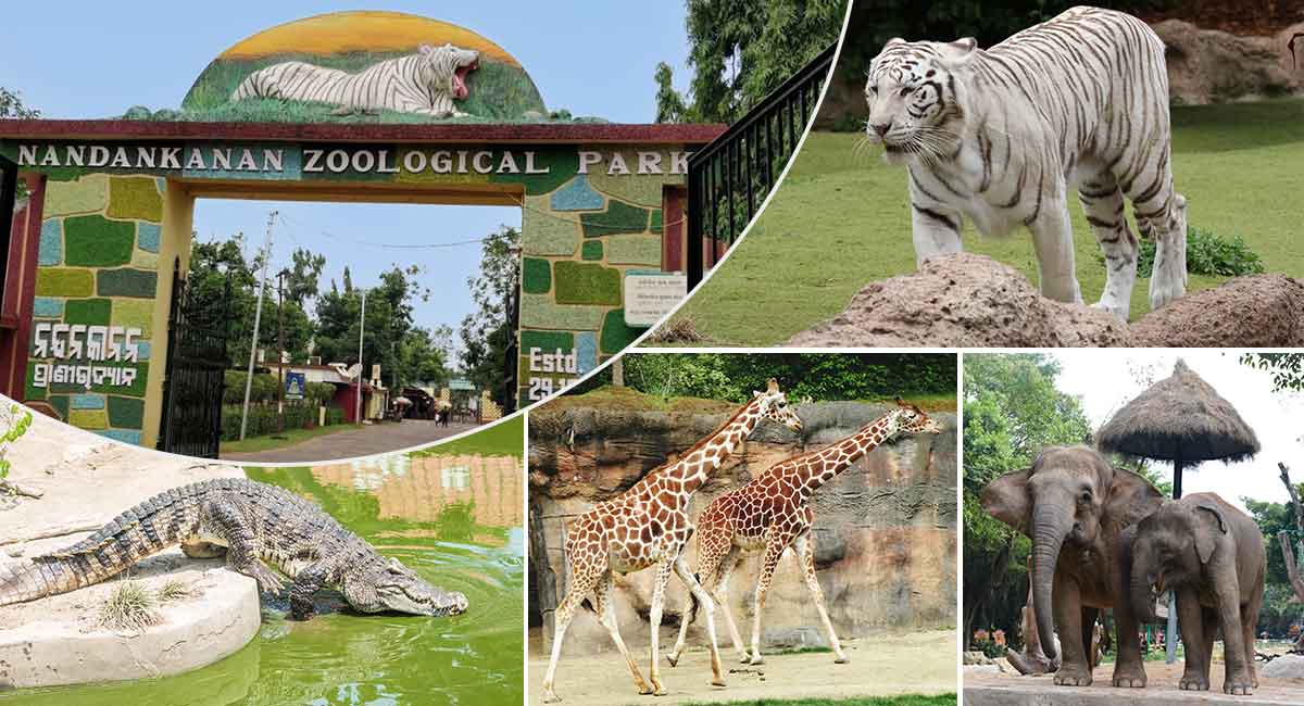 Nandankanan Zoological Park