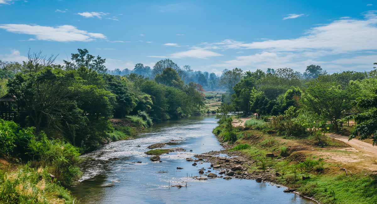 Salandi River in Odisha